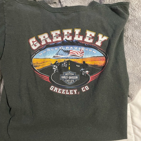 HARLEY T - Picture 2 of 2